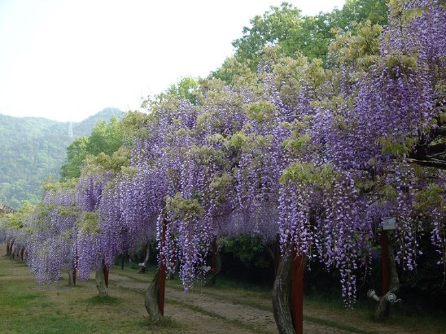 和気藤公園 備前 日生 岡山県 の旅行記 ブログ By ぼろちゃんさん フォートラベル