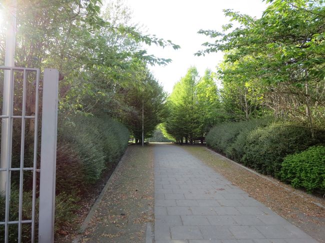 広場からすぐの所に、公園の入り口があります。<br /><br />よし！ここを探検しようっと(^O^)