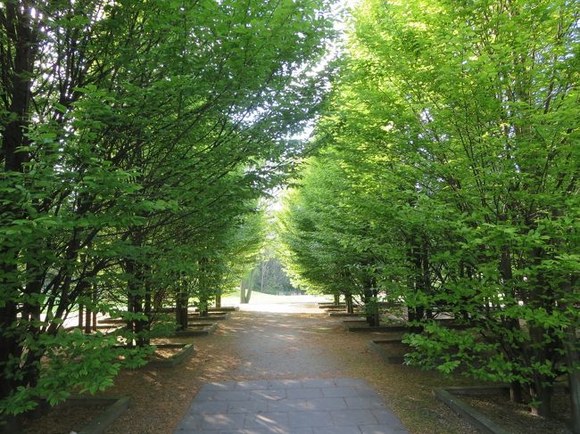 木漏れ日が射して、静かな公園です♪<br /><br />人もいないし、静かな時間が流れています(*^_^*)