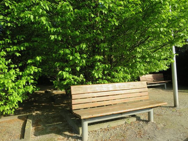 ベンチに座って、しばしベルギーの住民の気分を味わってみますヽ(^o^)丿