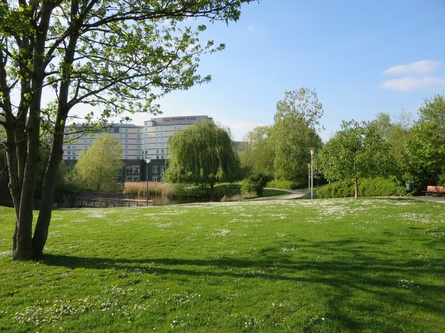 白く見えてるのは全部お花なんですよ♪