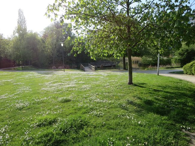 あれ？！<br /><br />なんだか橋のような物が見えます。