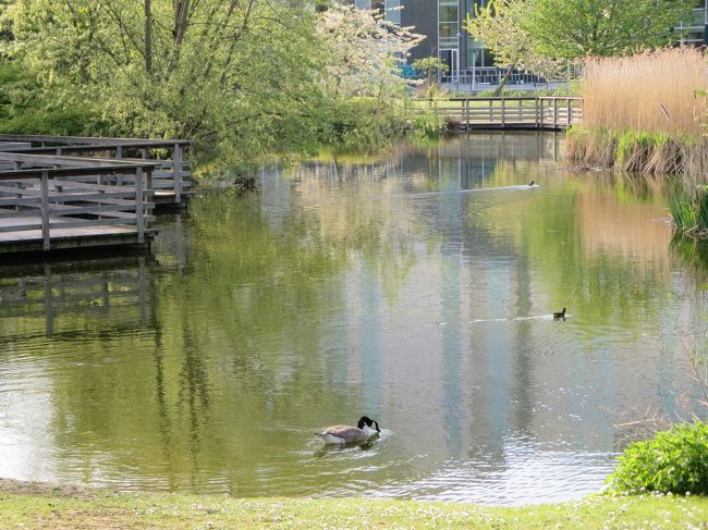 他にも、鳥がいるようです。
