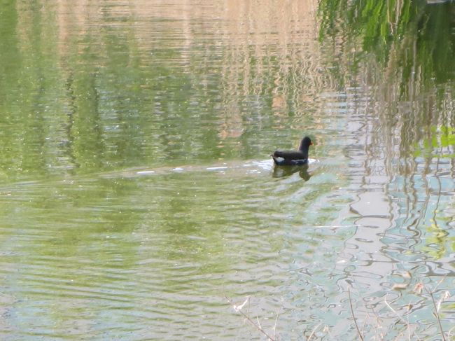 これは、子供みたい(*^_^*)