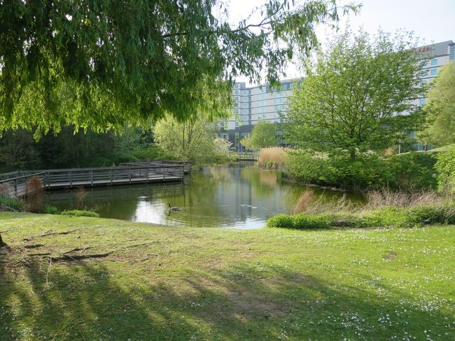 どうやら、この橋をずっと渡っていくと、クラウンプラザの裏手につながっていそうな感じです。