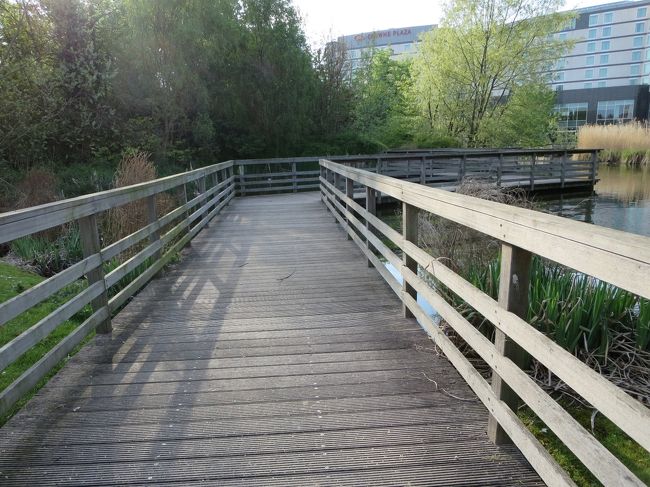 こんな素敵な空間を、ひとり占め(^_^)v<br /><br />まあ、平日の１８：３０頃ですからね。