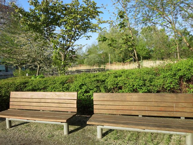 ベンチで、また座って、ちょっとお水を飲んで・・・