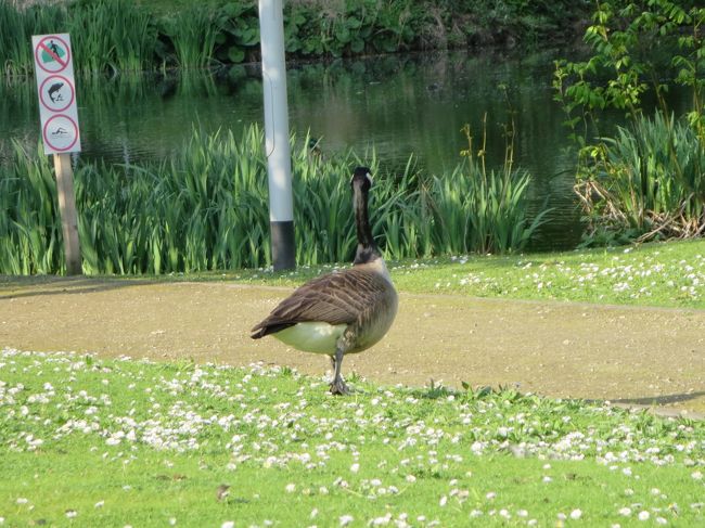 誰かいる？！<br /><br />