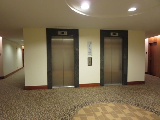 エレベーターホールは、すぐ目の前<br /><br />でも、とても静かで、気にならないです。