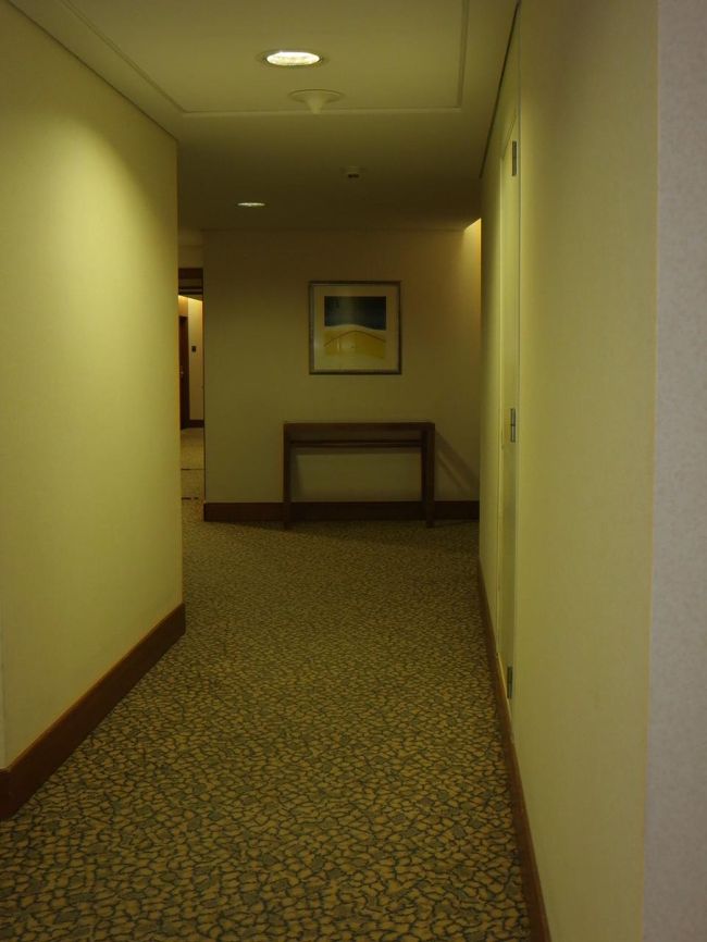 廊下をぱちり♪