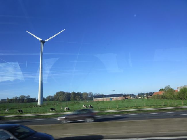 車窓より<br /><br />風車と牛さんのコラボ