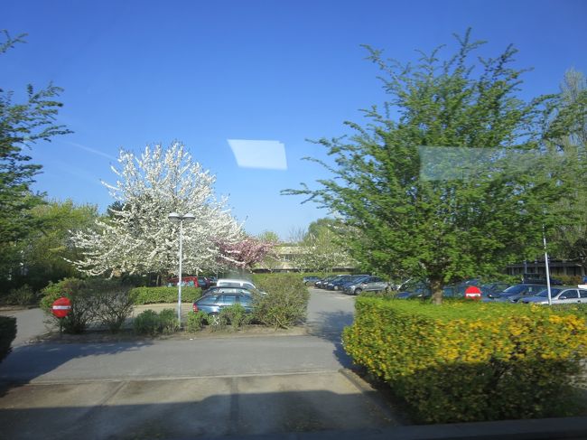 車窓より<br /><br />桜は、ここでも咲いてます♪