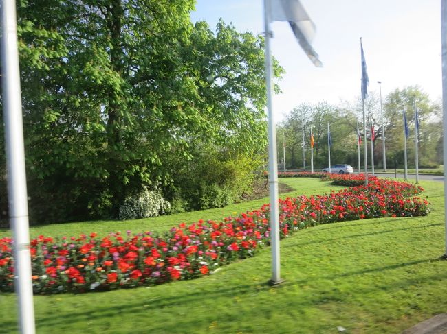 車窓より<br /><br />春の旅行って、こんなにお花が綺麗なんですね♪<br />