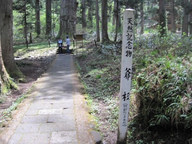 20数年ぶり、羽黒山の石段のぼり』羽黒・余目(山形県)の旅行記