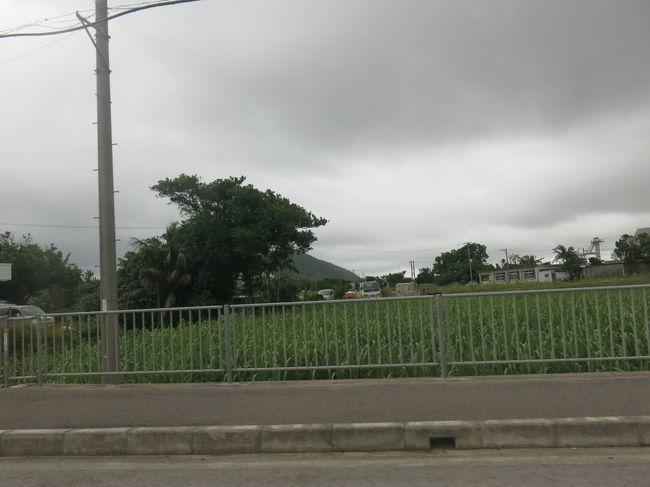 生憎のお天気の石垣島。曇っているなら、潜ってしまえ！