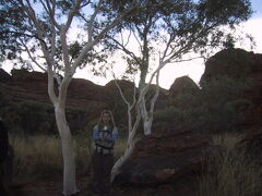 キングス・キャニオン（Kings Canyon）はワタルカ国立公園（Watarrka National Park）の一部で、ジョージ・ジル山脈（George Gill Range）の西の端、アリス・スプリングスとウルルのほぼ中間に位置します。