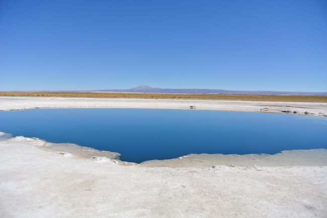 Laguna Cejar:  This is part of Salar de Atacama.  (South of San Pedrdo de Atacama).  You cannot sink these lakes that have 30% salt concentration.  These few lakes here are the only lakes that you can go in.  <br />