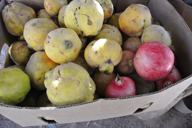 Day 3 afternoon: 15:30 Toconao Village - 38km South from San Pedro de Atacama.  Population, 1000.  We visited one of the houses.