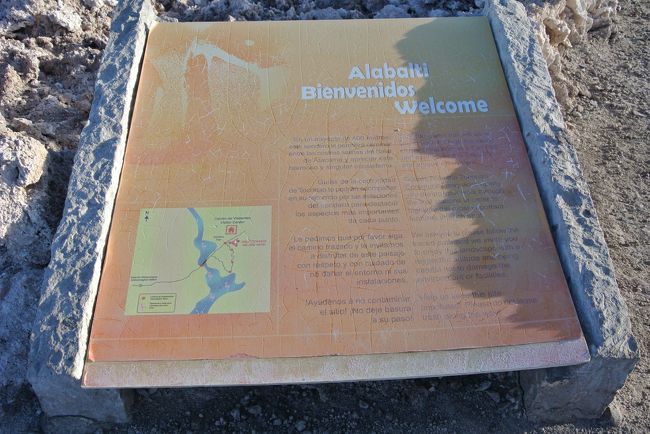 Salar de Atacama - Laguna Chaxa (アタカマ塩湖チャクサ湖)<br /><br />