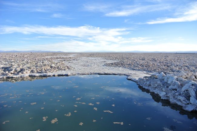 Only the brine shrimp live in the lake, and the Flamingos come to eat them.  There are three kinds of flamingos in this area; Chileno, Andino and James.  We have seen Chileno (grey legs and pink tale) and Andino (yellow tales and black tale).<br /><br />