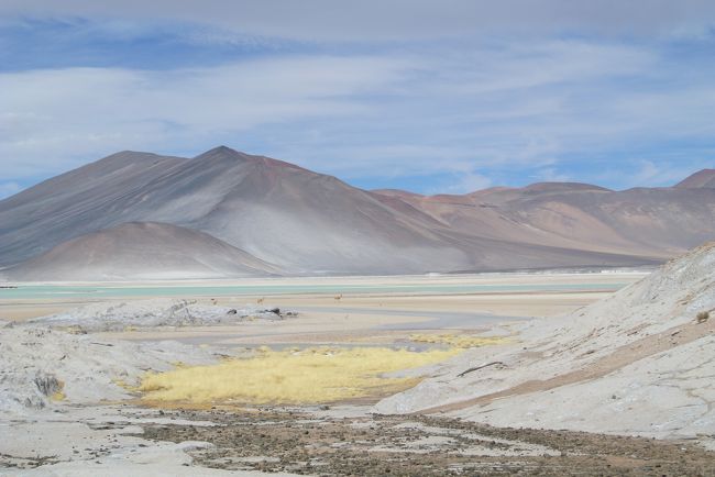 Vicunas crossing...<br /><br />