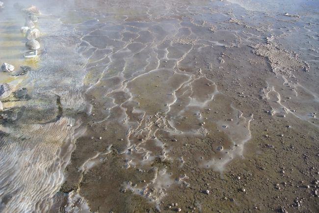 The water on the ground was frozen.