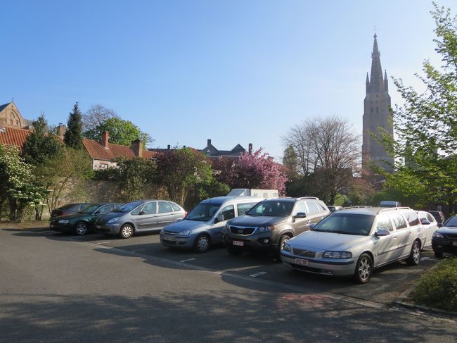 桜ともあいまって、美しい♪