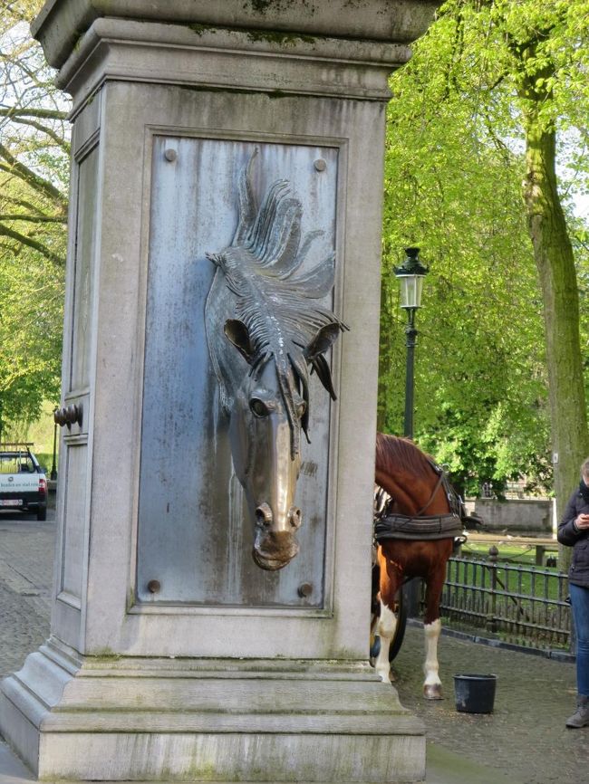 馬の顔だー！<br /><br />ここは、馬車の馬の水のみ場だそうです。