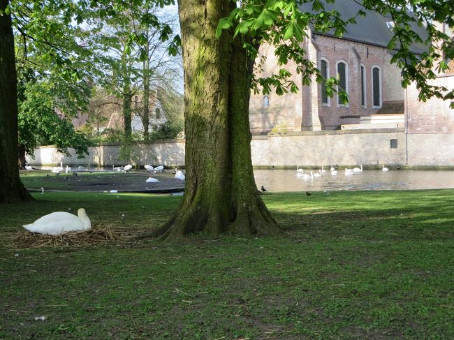 大きな公園に出ました。<br /><br />「愛の湖公園」です。