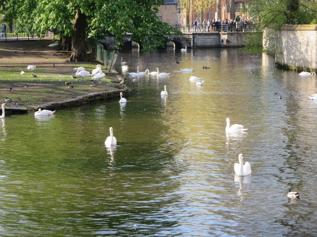 こんなロマンチックな所は、カップルだといいんでしょうね(*^_^*)<br /><br />寂しい独り身の私・・・そんな事関係なく、テンション高く楽しむのでした(^o^)／