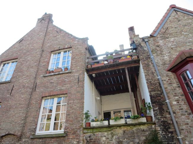 ワンちゃんのおうち、まだかな？！