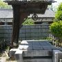 名古屋・徳川園で見頃のぼたんを眺めながら庭園散策