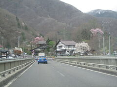 上高地への駐車場もある沢渡の温泉街。5月に入ったこの時期でも、まだ山桜が咲いています。