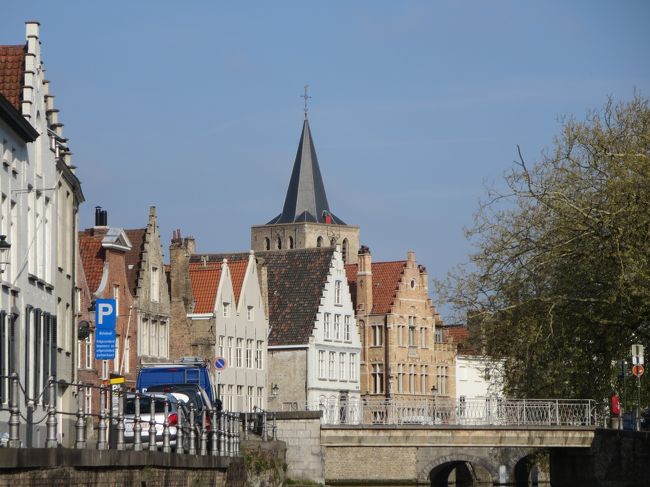 奥に見えるのは、聖ウァルブルグ教会です。