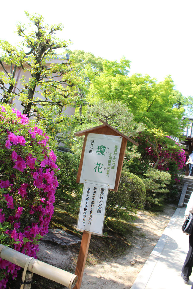 続 いにしえの古都 奈良の観光地を駆け巡れ 唐招提寺 法隆寺 ガトー ド ボワでケーキタイム 編 斑鳩 法隆寺周辺 奈良県 の旅行記 ブログ By たらよろさん フォートラベル 続 いにしえの古都 奈良の観光地を駆け巡れ 唐招提寺 法隆寺 ガトー ド ボワでケーキタイム 編 斑鳩 法隆寺周辺 奈良県 の旅行記 ブログ By たらよろさん フォートラベル