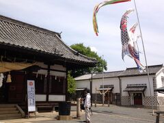 街中にある階段を登ると、「鶴形山」の上にある阿智神社に行けるというので、ちょっと立ち寄り。
なんだかんだで200段弱？の階段にゼーハー。
自分の体重が恨めしい…
神社に辿り着いた時、ダンナと同時に「こんぴらさんに行くのは、止めとこう！」と。

鯉のぼりが青空にはためく。
神社って空気がいいね。
順調な旅になりますように、とお参り。

立派な藤棚があるとの事だったんだけど、まだちょっと早かったみたい。
残念。