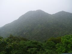 屋久島の照葉樹林は世界遺産区域に入っている。
杉は島中央の高山（標高６００ｍ以上のところ）に生育しており、低山には照葉樹林帯が広がり、海岸沿いは亜熱帯植物が生育するという、なんとも自然の凝縮された島です。
九州でいちばん高い山は屋久島にあるんだとか！