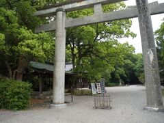 早朝８時過ぎに日前神宮・國懸神宮に参拝しました。和歌山市内の神社ですが広大な神域です。