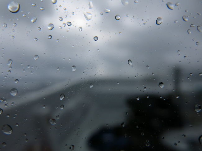 船長がものすごいスピードで飛ばすので、船が波をじゃぶじゃぶかぶっています…