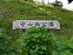 守山西公園です。
桜で有名な狩野川さくら公園が近くにあります。