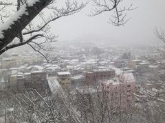 愛宕山公園から望む