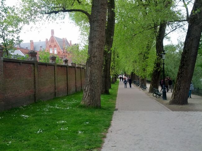 駅の前からの道を皆が行く方向へ歩く。<br />念のため、Googleマップも見ながら。