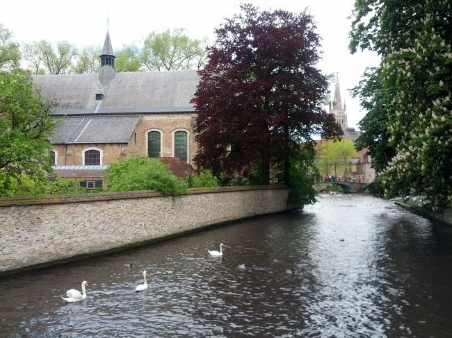 水辺の綺麗な景色が続く。