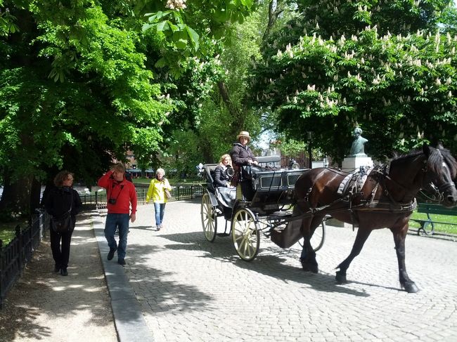 観光馬車もある。