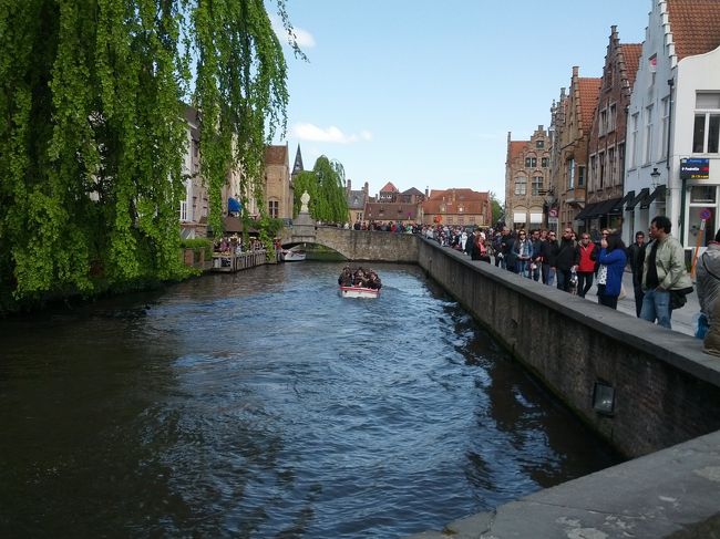 本当に水辺が綺麗だ。