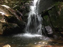 車をおりて、鶯の滝を目指して、歩きました。

滝マニアみたいな人がず〜っと撮影してました。
