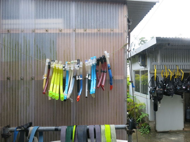 2ポイントで泳ぎ、半日費やしました。残念ながら、マンタには出会えず…