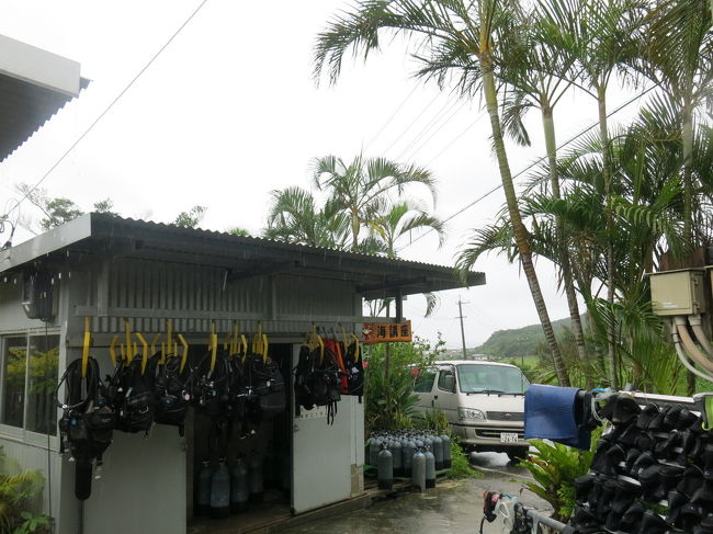 暖かいシャワーが身に染みます。