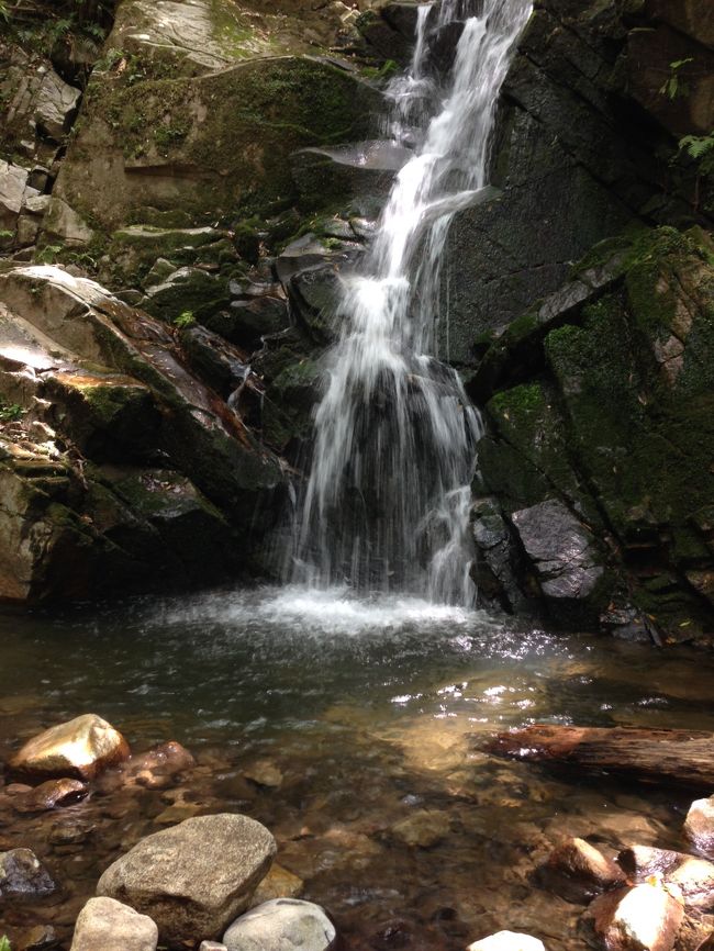 車をおりて、鶯の滝を目指して、歩きました。<br /><br />滝マニアみたいな人がず〜っと撮影してました。<br />