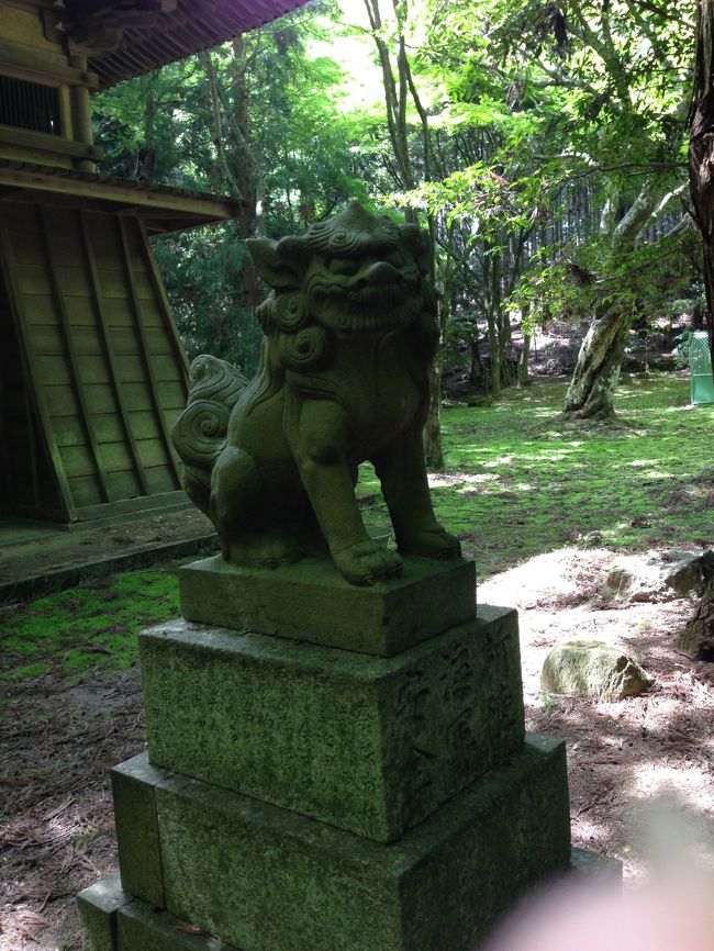 興福寺別院があったところ。<br /><br />自然災害で建物は壊れてしまってます。<br />が、なかなか趣きがあります。<br /><br />緑のもみじが綺麗でした。<br /><br />秋の紅葉の季節にまた訪ねたいな…。